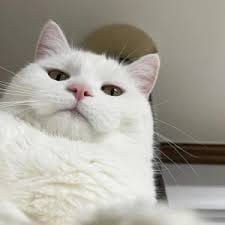 Hendra Gunawan avatar